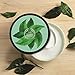 The Body Shop Fuji Green Tea Body Butter, Replenishing Body Moisturizer, 6.9 Oz.