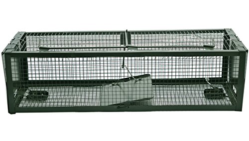 MATATA Live Animal Humane Trap 2-Door Mouse Cage Trap For Chipmunk, Rats, Squirrels, Voles, Rodent and Similar Size Pests(Green)
