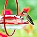 Mosaic Birds Hummingbird Feeder for Outdoors Hanging, 3.4 OZ Hummingbird Feeders, Glass Bowl with 4 Feeding Ports, Leak Proof Lid & Circular Perch, Red Bird Feeder, Unique Hummingbird Feeders