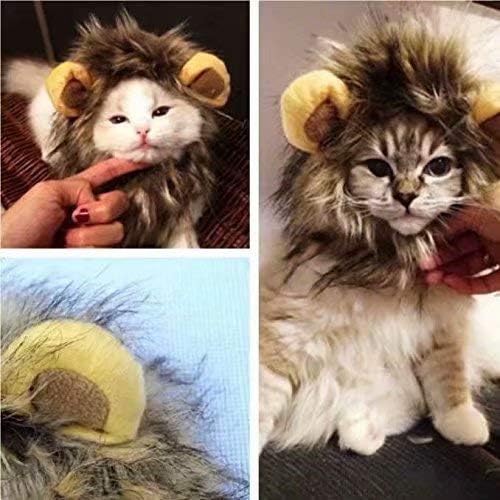 Perruque Lion Cheveux Criniere Pour Grand Chien Chat Domestique Deguisement De Soiree Halloween Noel Brun Clair Deguisements Et Accessoires Deguisements