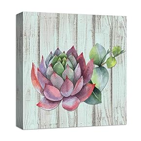 Pink And Sharp Succulent - Canvas Art