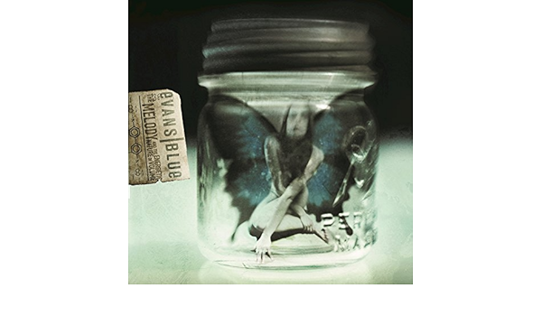 evans blue butterfly