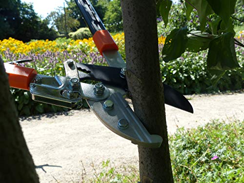 Garten Primus Astschere, Astamboss - Ratschenschere, schwarz / orange, 67 x 28 x 3,5 cm, 01100 – Bild 7