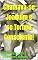 Livro CHAMAVA-SE JOAQUIM E SE TORNOU CONSCIENTE!