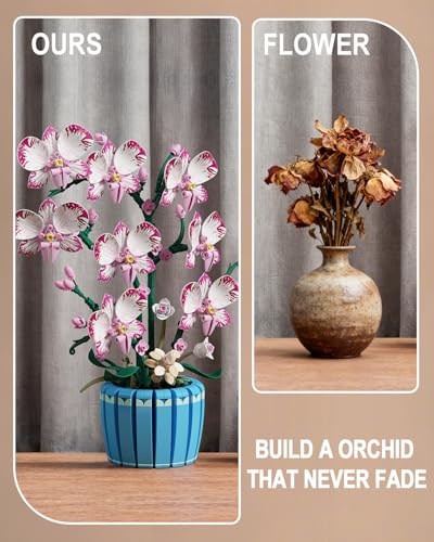 TYCOLE Orchidea Set da Costruire, 779 Fiori Artificiali Botanicals Decorazione Casa Ufficio, Regalo Bambini Adulti Adolescenti, Compleanno, Natale, San Valentino