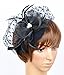 Fascinator on Hairclip for Women Mesh Feather A-Black
