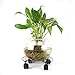 Jesauge Metal Plant Flower Pot Stand Trolley Caddy on Wheels Indoor Outdoor Home Garden Tools (2-Pack)