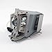 Optoma HD141X Projector Housing with Genuine Original OEM Bulb