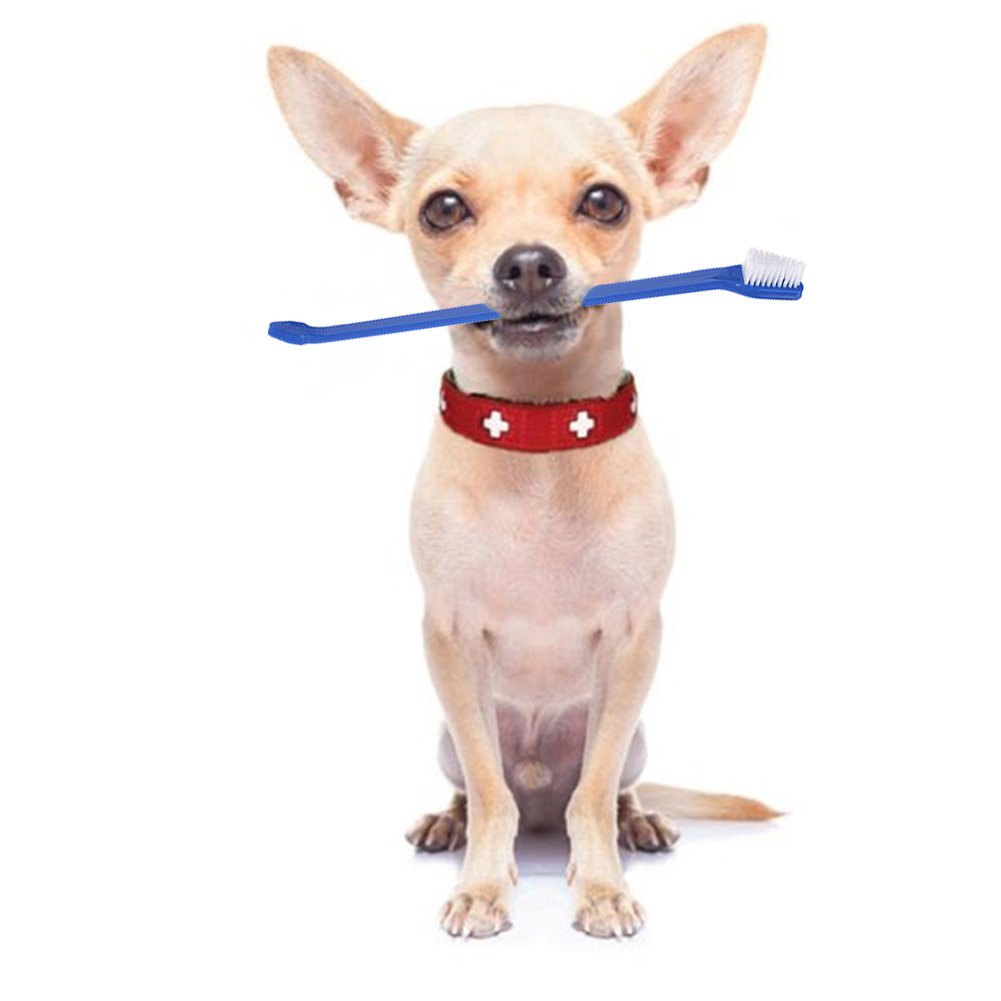 Dog Toothbrush Set of 1 Dual-headed Brush For Better Dog Dental Care And Dog Breath Freshener - Bonus 2 Finger Toothbrushes Included -for Small to Large Dogs, Cats, & Most Pets