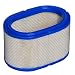 HIFROM Air Filter for Onan 140-2897 1402897 Replaces for Quiet Diesel QD HDKAJ HDKAK HDKAH HQD HQDPA HQDPC Generator Air Cleaner