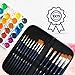 Paint Brushes – Professional Paint Brush Set of 15 for Watercolor, Acrylic, Gouache and Oil Painting – Premium Quality Nylon Hair with Organizing Case – Perfect for Kids, Students, Artists