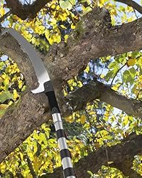 Buyplus Pole Saw for Tree Trimming, 5-20 Foot