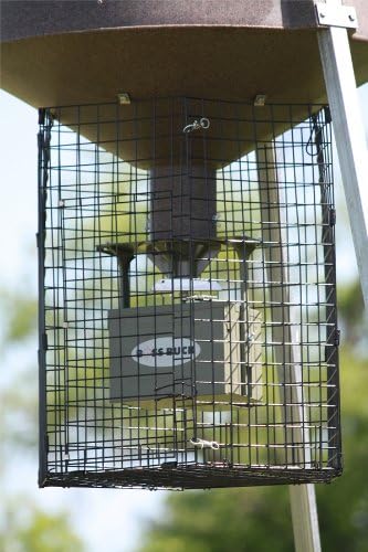 Amazon Com Boss Buck Varmint Cage Black Sports Outdoors