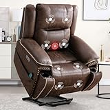 Phoenix Home Dual Motor Power Lift Chair for