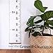 THINCOWIN Wall Growth Chart Wall Hanging Height Chart for baby Wall Ruler for Kids Room Hanging Decor for child