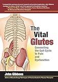 The Vital Glutes: Connecting the Gait Cycle to Pain