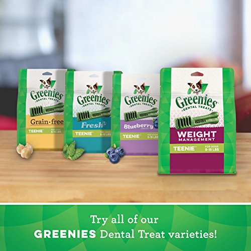 GREENIES Weight Management Dental Dog Treats, Teenie, 96 Treats, 27 oz