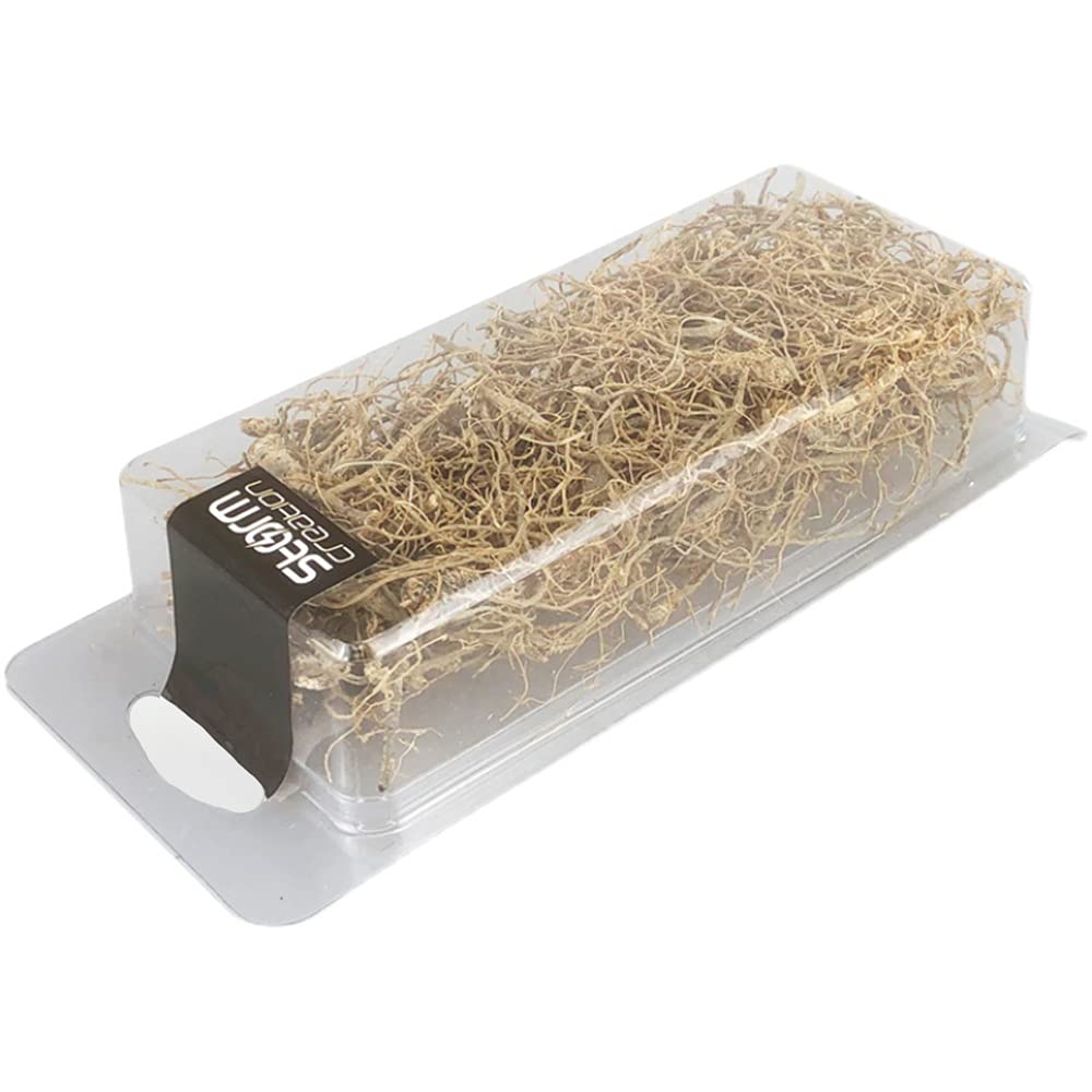 Tiardey Dry vines,dry branches,vines,dry roots for Aritificial Plants Model Models,Sand Tables,Miniature Train Scenes,Miniature War Scenes