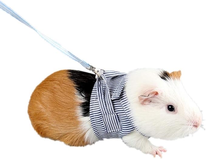 RUIBUY Guinea Pig Harness and Leash Small Pet Harness, No Pull Comfort