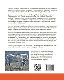 Image de Laminitis: understanding, cure, prevention