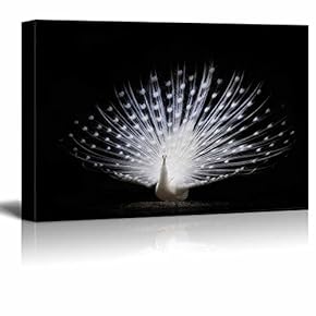 Canvas Prints Wall Art - Beautiful White Peacock for Home Art | Modern Wall Decor/Home Decoration Stretched Gallery Canvas Wrap Giclee Print. Ready to Hang - 12" x 18"