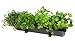 Self Watering Wall Planter by My Easygro | Indoor or Outdoor Living Wall Vertical Hanging Planter | Urban Garden Herbs Flowers Vegetables | Stand Wall or Balcony Mounted | (Black)thumb 3