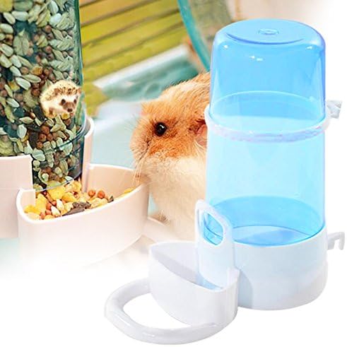 automatic hedgehog feeder