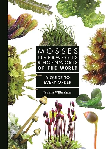 The Magical World of Moss Gardening Illustrated, Martin, Annie
