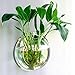Mirror Face Style Acrylic Round Wall Mounted Hanging Fish Bowl Aquarium Tank for Gold Fish and Beta Fish Plant Vase Home Decoration Pot,15cm Diameter