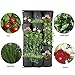NMFIN Vertical Garden Wall Hanging Planter-Waterproof Flower Felt Pouch Indoor/Outdoor-Wall Mount Balcony Plant Grow Bag for Herbs Vegetables and Flowers,Garden Yard Office Home Decoration-15 Pocketsthumb 3