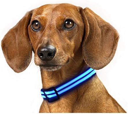 Rechargeable LED Dog Collar, IKET Shiny Double Light Magic Ring to use When Walking Your Dog (S, Blue)