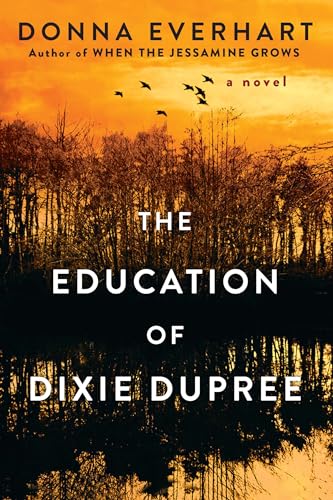 The Education of Dixie Dupree en promo sur Amazon