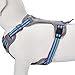 Blueberry Pet Soft & Comfy 3M Reflective Dog Harness Vest | Mesh Padded No Pull Dog Harness w/Back Clips | Multi-Colored Stripe - Violet and River Blue | Reflective Dog Harness for Large Dogs