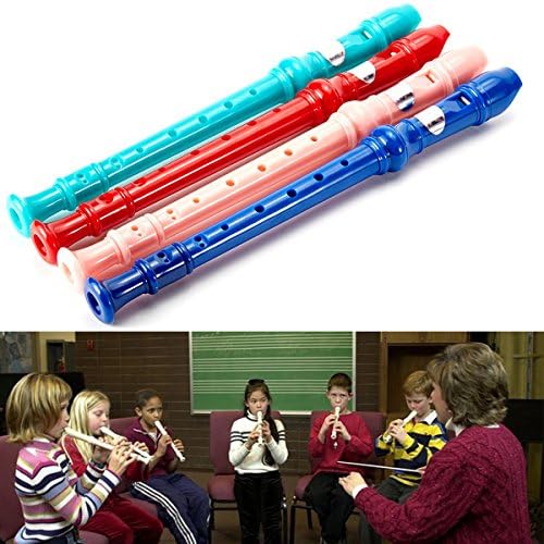 Soprano Recorder，BANGCHIC 8 Hole Instrument Recorder for The Musician and Student(Including Cleaning Rod and Instruction) Green
