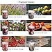 Albrillo Scented Candles Gift Set 6 Pcs Portable Travel Candles Natural Candle Soy Wax,Best Gift for Stress Relief and Aromatherapy Relaxation for Women Birthday, Anniversary, Valentine’s Daythumb 2