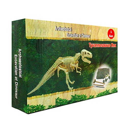 Amazon Best Sellers in Archaeology & Paleontology Kits for Kids Best