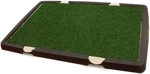 spotty indoor dog potty replacement grass