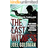 The Last Witness (Lou Mason Thrillers Book 2)