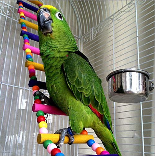 image for JungleAquashrimp Bird Wooden Rainbow Ladder Bridge for Balance and Swi