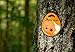 Kestrel Drop D3FW Fire Weather Monitor, Orange