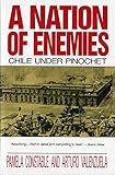 A Nation of Enemies: Chile Under Pinochet (Norton Paperback)