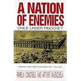 A Nation of Enemies: Chile Under Pinochet (Norton Paperback)