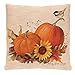 GBSELL Pillow Cover Owl Thanksgiving Turkey Cock Hen Pillow Case Sofa Throw Cushion Cover Home Decor,45cm45cm (Pumpkin)