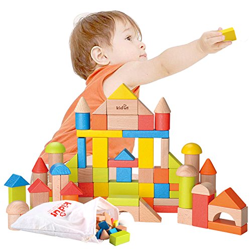 ZONXIE KAJA Classic Wooden Building Blocks Sets 80 Pcs Natural and Color Blocks for Toddlers Educational Preschool Learning Toys with Carrying Bag