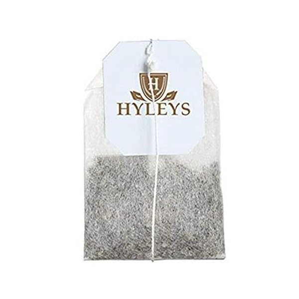 HYLEYS ORGANIC GREEN TEA SOURSOP FLAVOR – 25 TEA BAGS – GRAVIOLA GUANABANA TEA