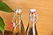 MAMA-AI-2018' Pack of 8 Beer Bottles 16 oz,Easy Cap Glass Bottle with Stopper, Swing Top Bottles for Oil,Vinegar,Beverages,Beer,Water,Kombucha,Kefir, Soda - Clear …