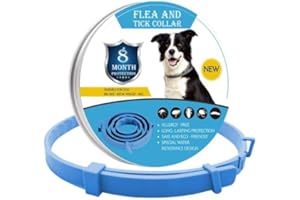 Pawlax Calming Collar for Dogs 2.0