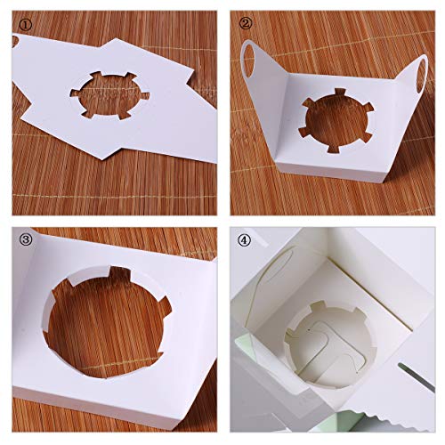 Individual Single Cupcake Boxes Soundpretty Individual Cupcake Boxes