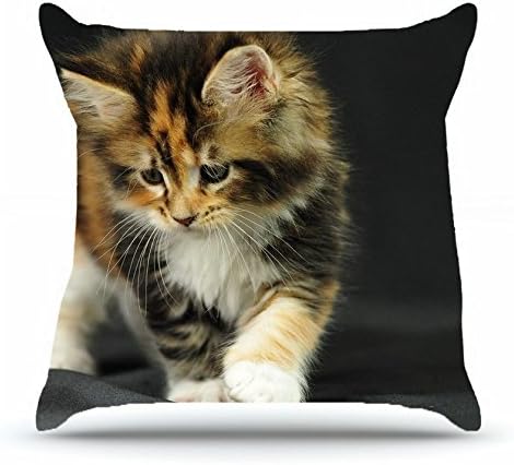 Square 18 X 18 Inches Cotton Pillowcases Decorative Pillow Cover Case with Hidden Zipper Decor Cushion Covers - Animals kitten tissue interest for living room