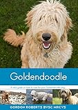 Goldendoodle: A vet's guide on how to care for your Goldendoodle dog